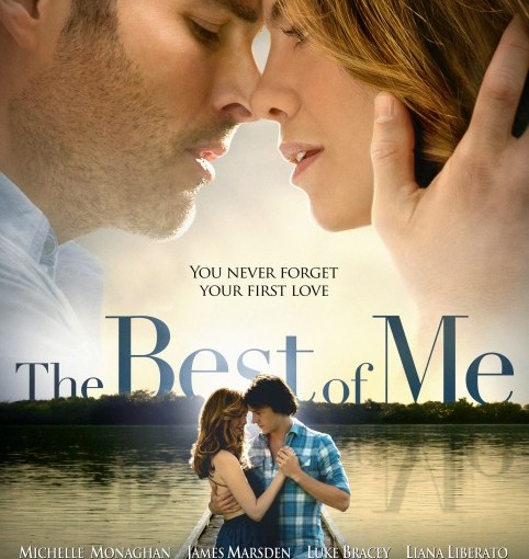 Three sentence movie reviews: The Best of Me