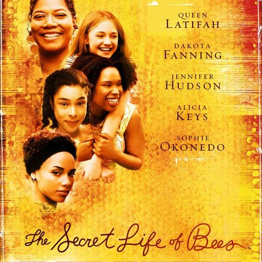 Three sentence movie reviews: The Secret Life of Bees