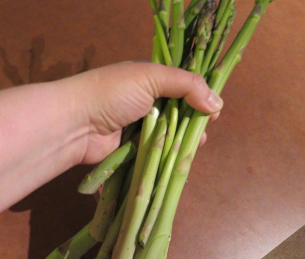 Asparagus: The Musical!