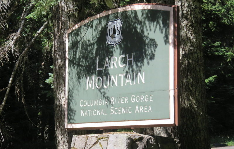 Hiking the Gorge: Larch Mountain