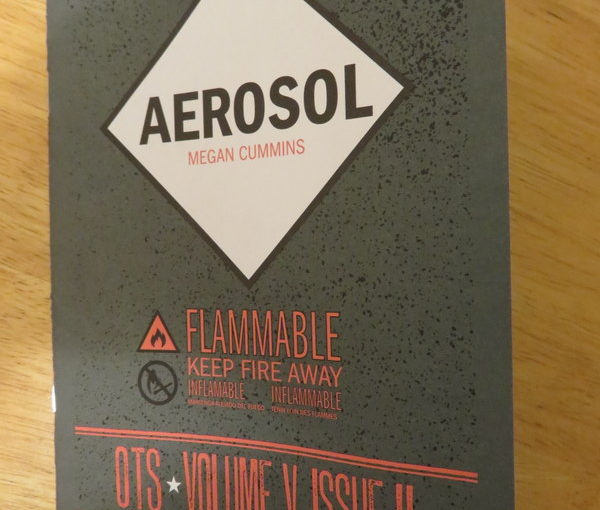 One Teen Story: Aerosol by Megan Cummins
