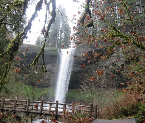 Silver Falls Hike