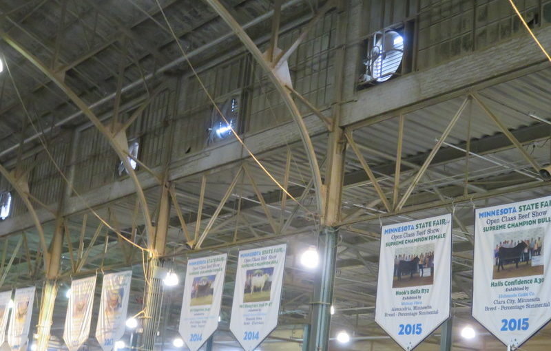 Minnesota State Fair Day One: Let’s visit the animals