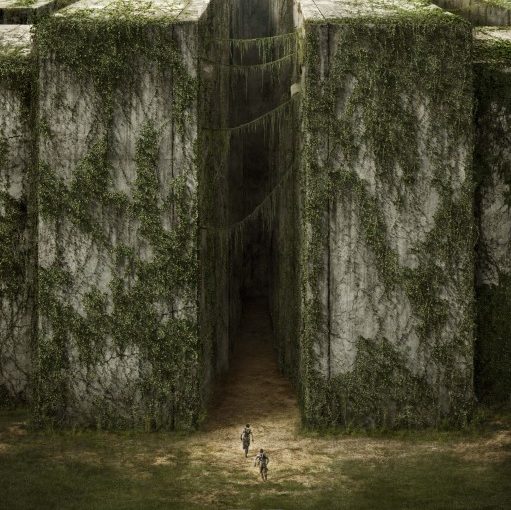 Three sentence movie reviews: Maze Runner