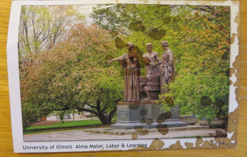 SKS postcard: University of Illinois