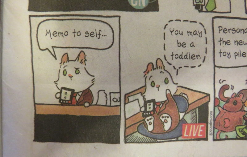 Breaking Cat News is a funny comic.