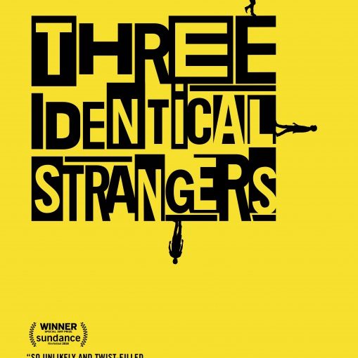 Three sentence movie reviews: Three Identical Strangers