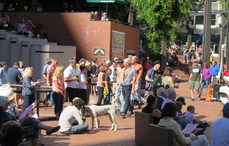 Singing in the square