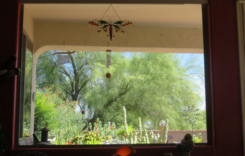 Arizona outside from the inside.