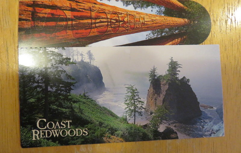 SKS Postcard: Redwoods Bookmark