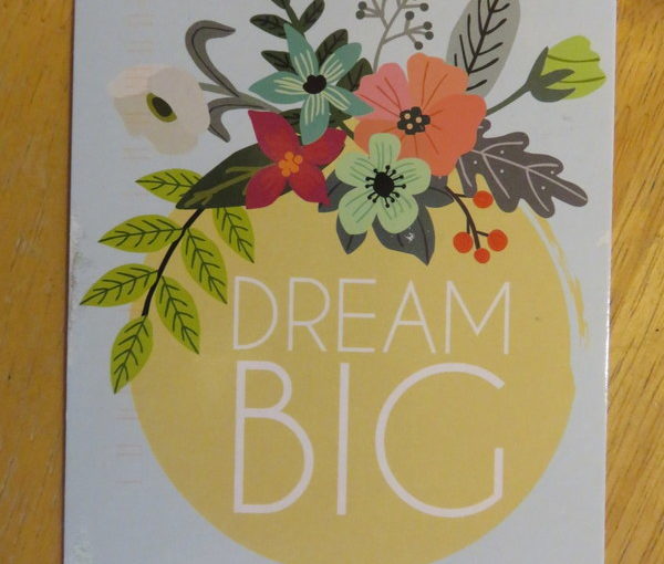 SKS: Dream Big Postcard