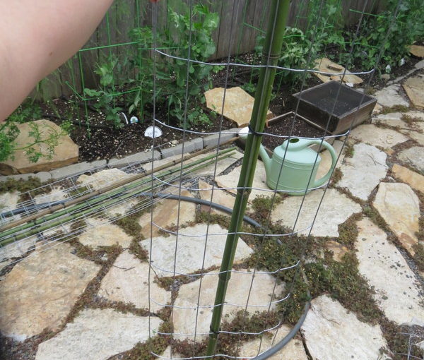 Making Supports for the Pole Beans