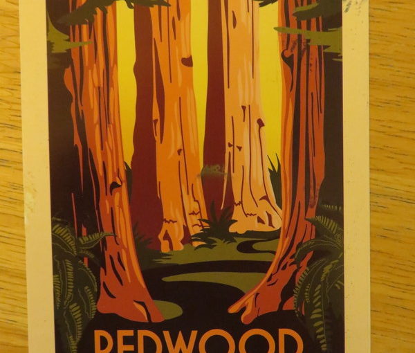 SKS Postcard: Redwood State Park
