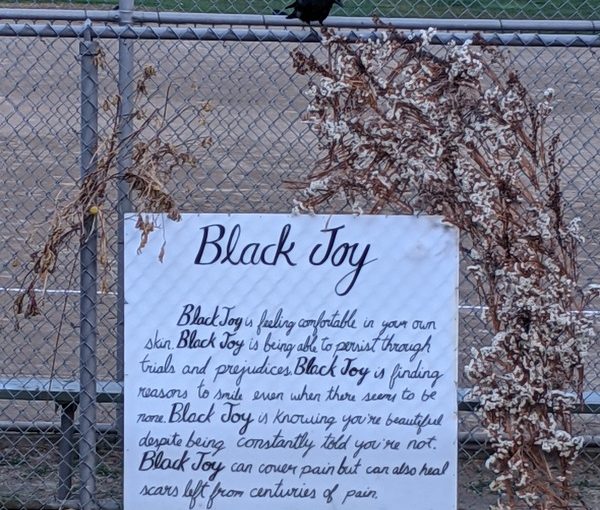 Black Joy in Kenton Park