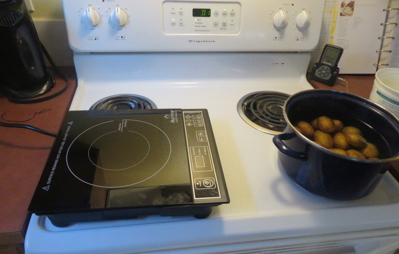 Trying out Induction Cooking