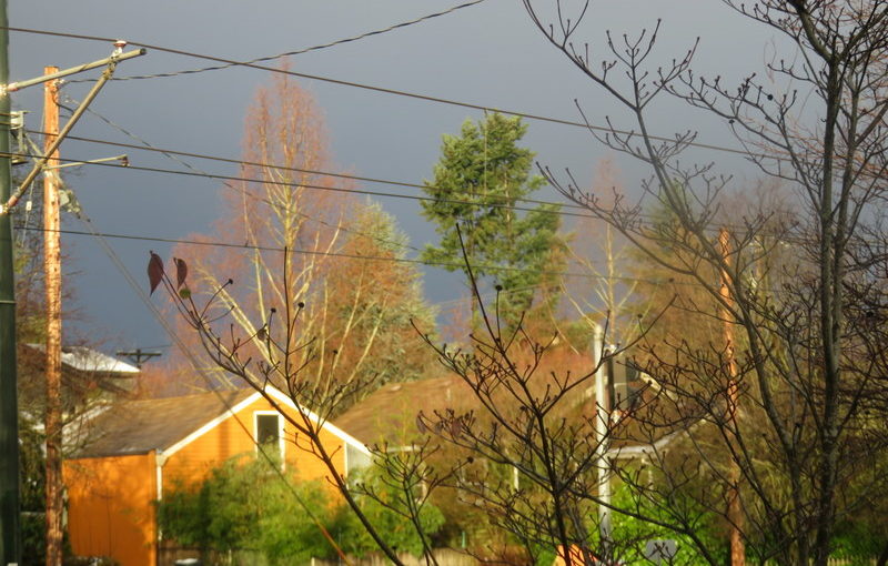 Ominous Sky Over Orange Garage