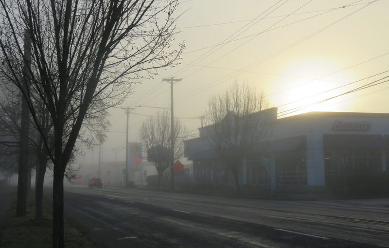 Foggy Morning Walk
