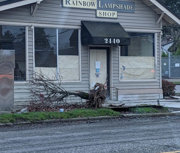 Rainbow Lampshade Shop: End of a North Portland Era