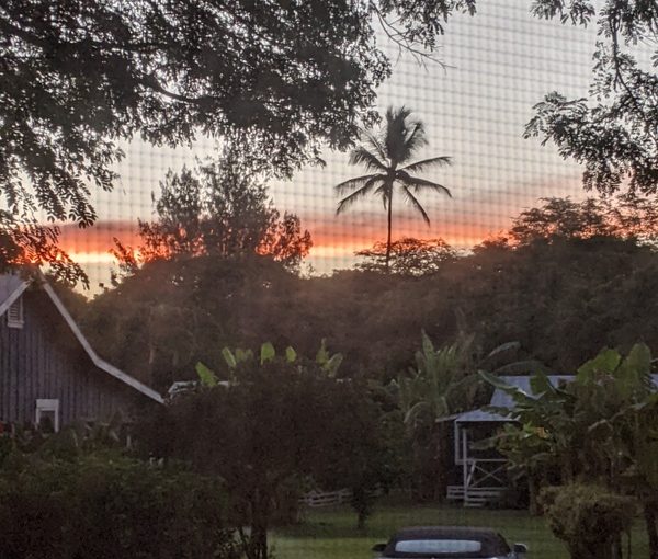 Morning at Waimea Plantation Cottages