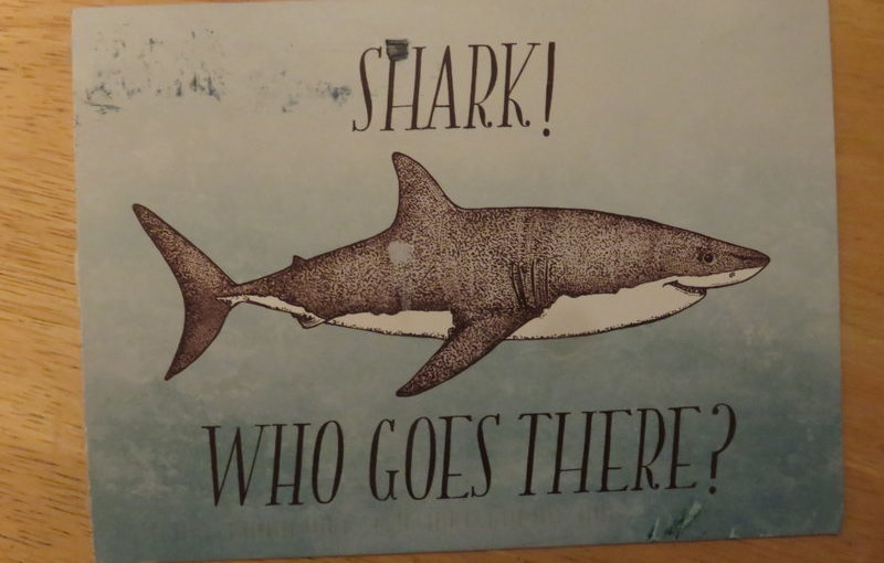 SKS: Shark Pun