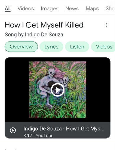 Random Song “How I Get Myself Killed” by Indigo De Souza