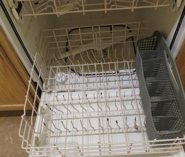 Last Day of the Dishwasher