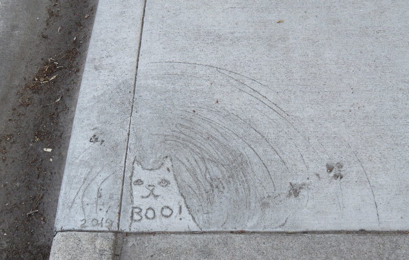 Sidewalk Cat Says “Boo!”