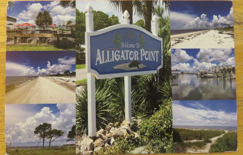 Postcard from Florida from Andi