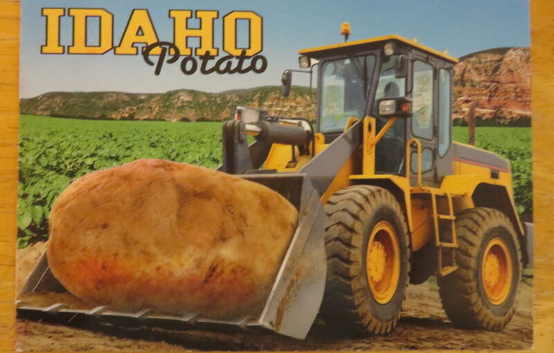 SKS: Dueling Idaho Postcards