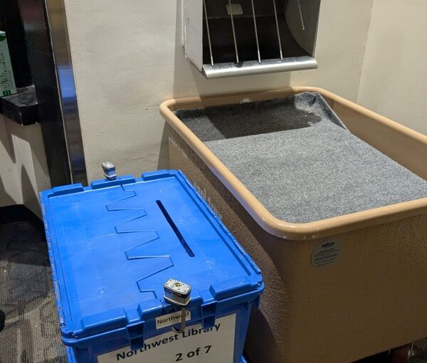 Zentangle Season and Transporting Ballots