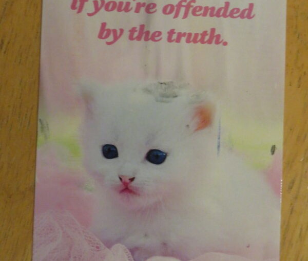 SKS: Social Justice Kittens and Puppies