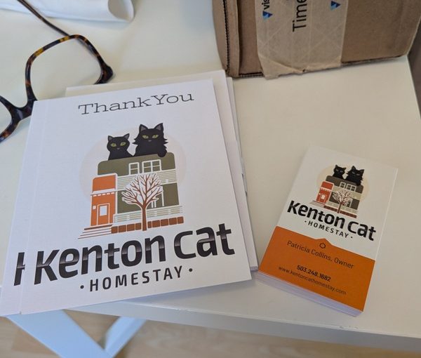 Kenton Cat Items Arrived